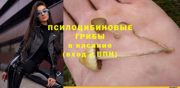 СК Вязники