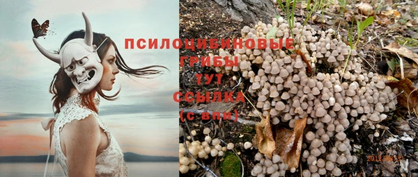 СК Вязники