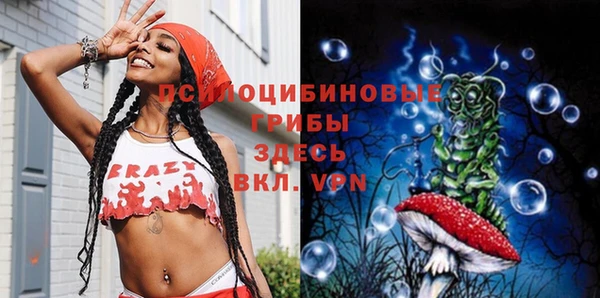 СК Вязники