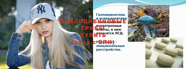 mix Калининец